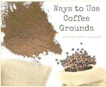 Diverse uses of