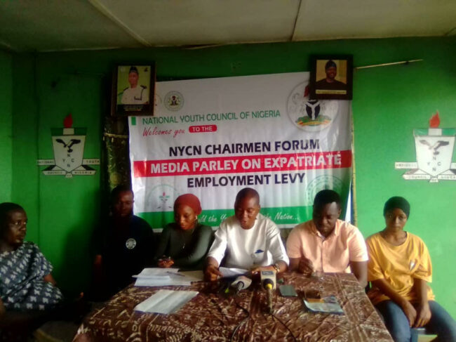 NYCN sate chairmen urge FG to Implement expatriate employment levy