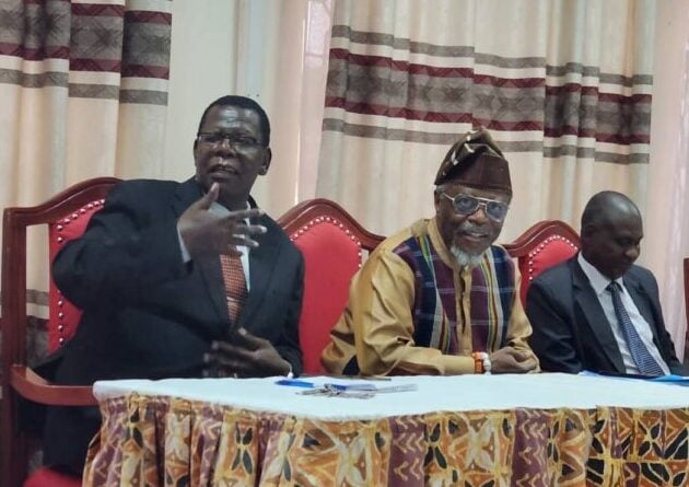 Democratization and State Security in Africa
