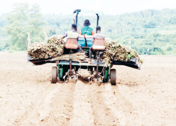 The birth of AATF cassava value-addition facility