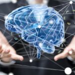 Hands and the brain