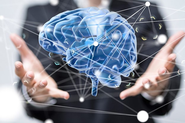 Hands and the brain