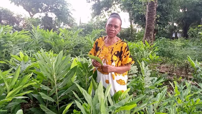 World Tea Day: Anambra herbal specialist advocates cultivation of tea