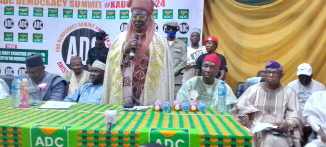 IPAC President calls for scrapping of state independent electoral commissions