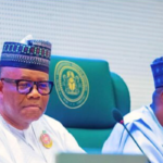 NASS executive Lukman, unbroken democracy legislative practice, Nigeria's 25 years of democracy,