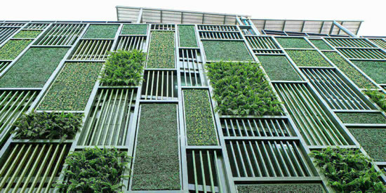Green Building