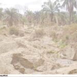 illegal gold mining in Egbetua