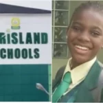 Chrisland School: Witness denies knowledge of child protection officers' presence