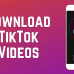 Download TikTok Videos