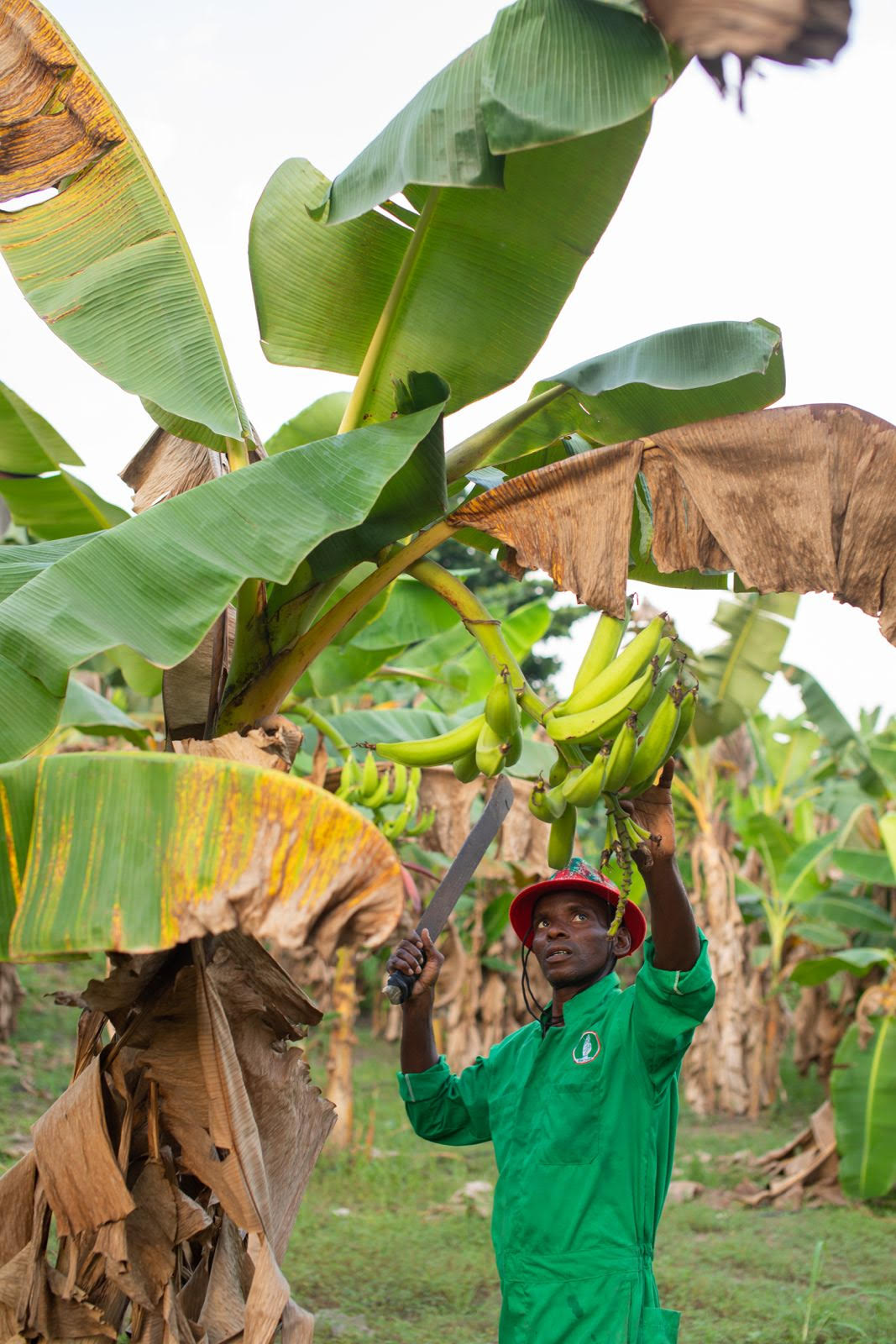 Agriculture
