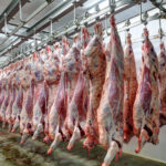 Niger govt to build abattoir for livestock production, supply southwest states