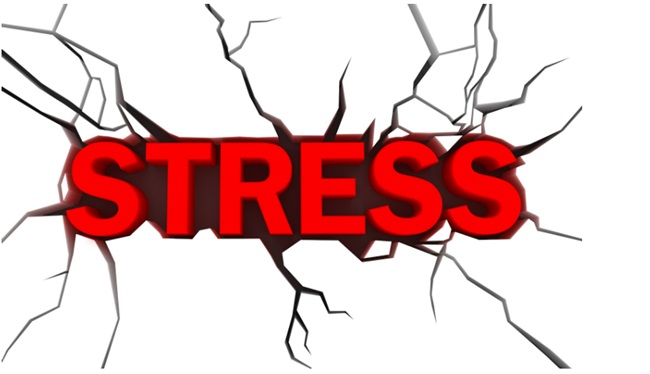 Delta 8 Gummies for Stress Reduction,
