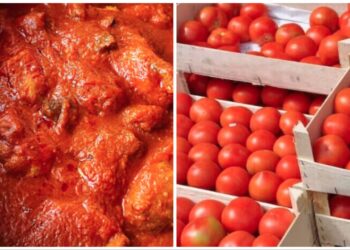 Hardship: Five substitutes for fresh tomatoes in stew