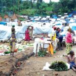 Benue IDP camp records over 200 births in one month, Lawyers Alert files lawsuit against FG over Benue IDP crisis