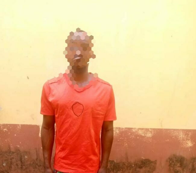 Fleeing robbery suspect maimed in Delta
