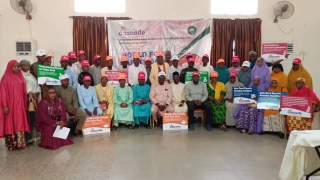 Food Safety Day: NAFDAC warns against use of agrochemicals to preserve foods
