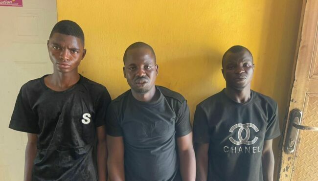 Security operatives raid bandits' hideouts in Kaduna, Abuja