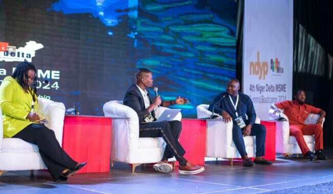Experts urge Niger Delta govts to embrace digital economy, fund MSMEs