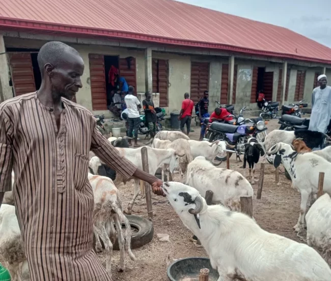 Sallah: People are not buying rams, Badagry ram sellers lament