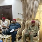 Nwodo, Wabara lead 20-man Ohanaeze committee to articulate Igbo position