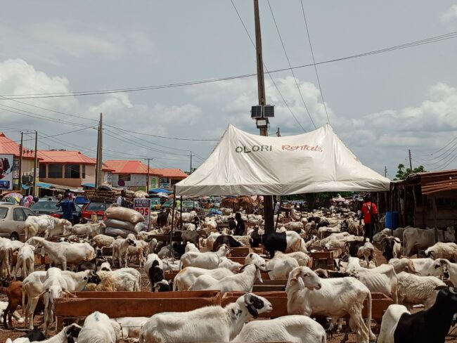 Kwara livestock dealers