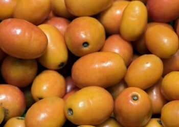 Why hog plum