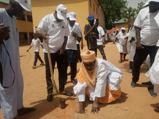 NNPC foundation plants 500 trees