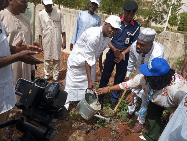 Sokoto to plant one million trees