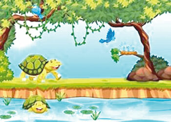 The Tortoise And The Bird