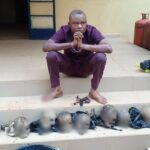 human skulls distribution Suspect, man with eight human skulls on Ondo,