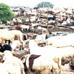 Ojude OBA As indigenes eagerly await post-Ileya festival extravaganza amid
