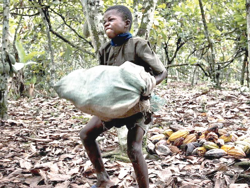 How child labour affects school attendance poses health threat to children in 