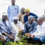 One Acre Fund Nigeria distributes free tree to farmers in Niger