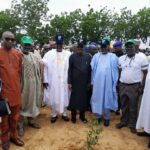 tree planting in Jigawa