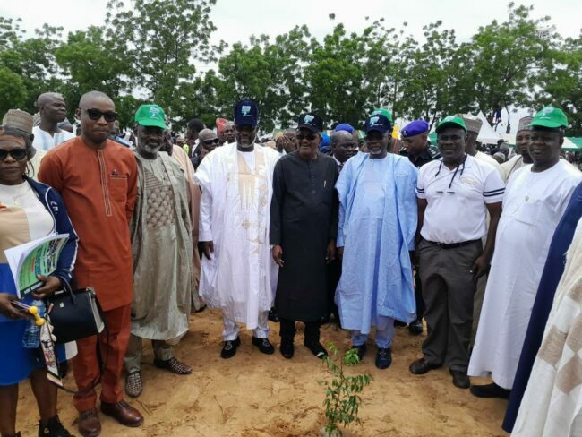 tree planting in Jigawa