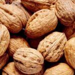 African walnuts improve semen quality