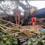 Heavy Rain: Four killed by fallen trees at Edo market