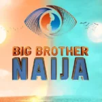 BBNaija S9: Meet the 2024 housemates