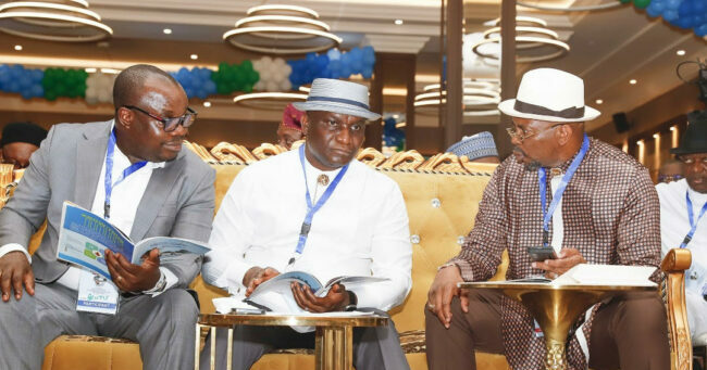 Tinubu has political will to develop Niger Delta - Otuaro