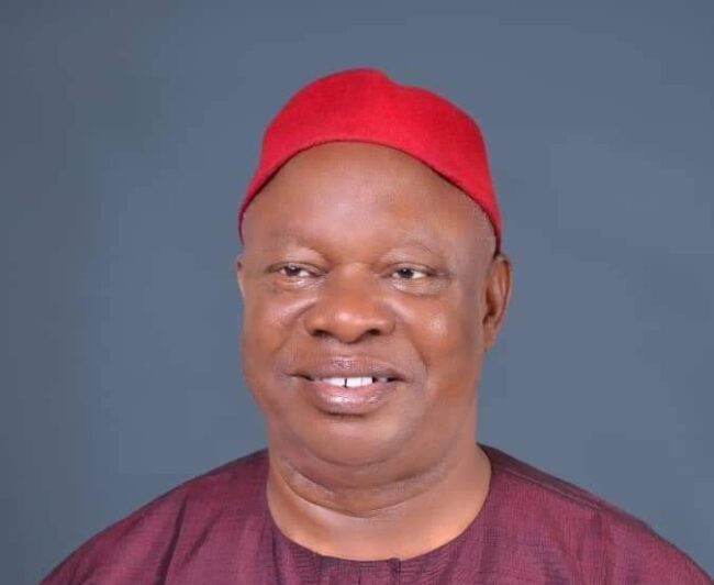 Protests: Tinubu has genuine plans for Nigeria — Senator Ani