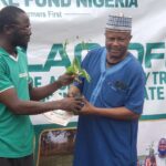 90,000 Kwara small holder farmers get 260,000 free tree seedlings