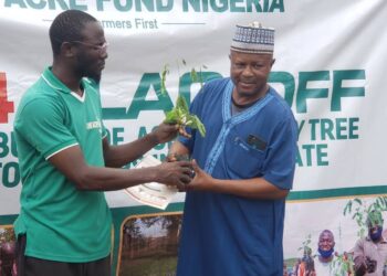 90,000 Kwara small holder farmers get 260,000 free tree seedlings