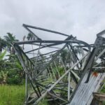 Bayelsa in darkness after protesters vandalise power towers