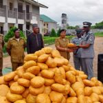 Kwara Customs intercepts marijuana