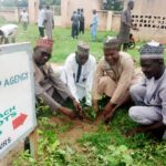 tree planting campaign