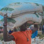 Miscreants loot truckload