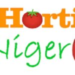 HortiNigeria holds workshop in Oyo for youths in