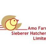 Amo Farm launches Noiler City to combat rising food
