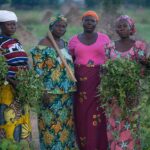 Food crisis: Stakeholders harp on needs to invest in women, agric mechanisation