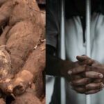 Man jailed nine months for stealing two tubers of yam